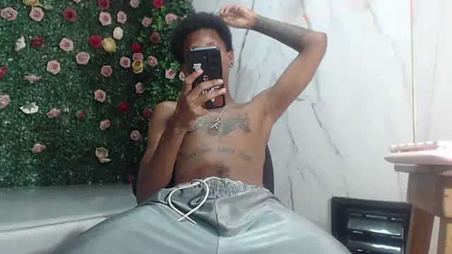 ManSant webcam