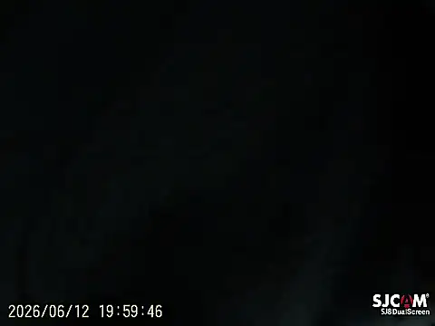 realdilf webcam