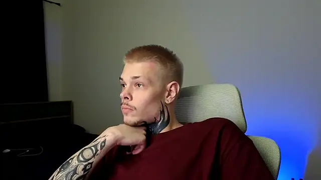 DENIS_HERE webcam