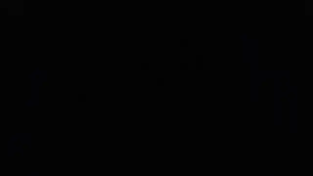 aixa_show webcam