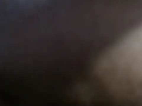 lolit_cat webcam