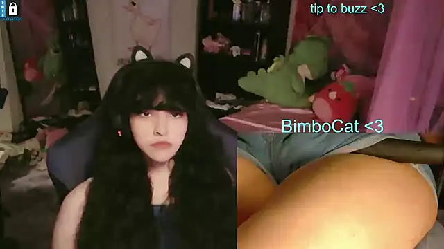 BimboCat webcam