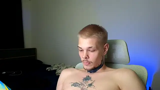 DENIS_HERE webcam
