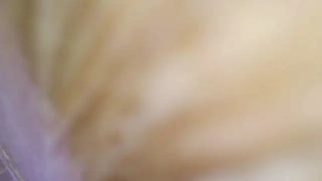shannon_kinne_ webcam