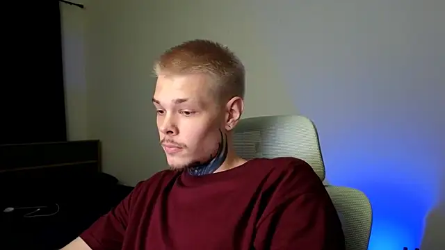 DENIS_HERE webcam