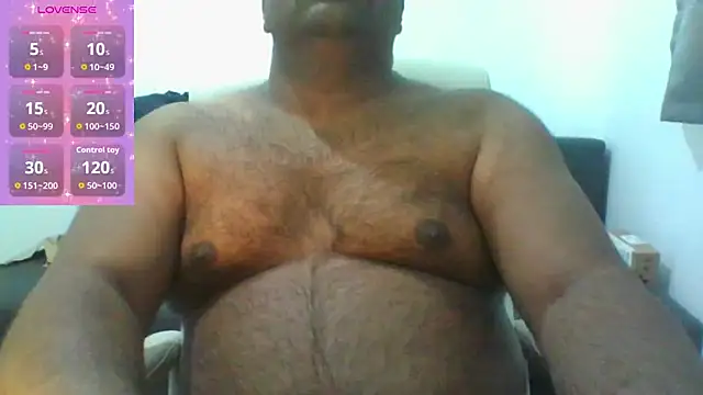 indianbearbot webcam