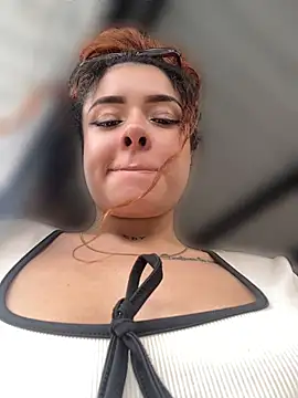 Jensen-Hally webcam