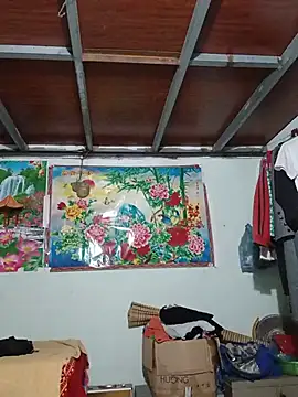 Monglan-c webcam