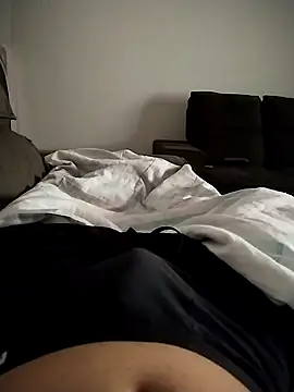 Cs-18 webcam