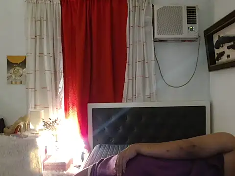 Sileves webcam