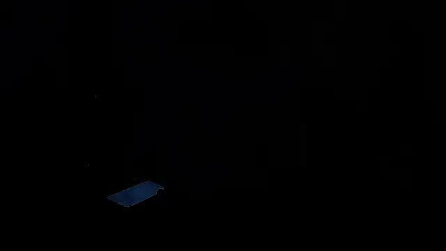 DafneRoger webcam