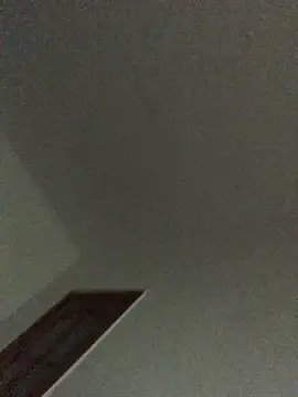 AnitaCat webcam