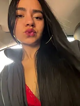 Dakota-fire webcam