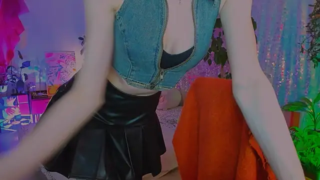 poli__ webcam