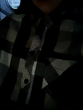 Aashikalaa webcam