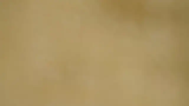 quenn-squirtanal webcam