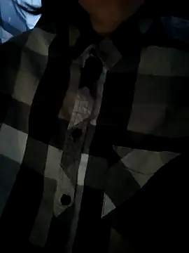 Aashikalaa webcam