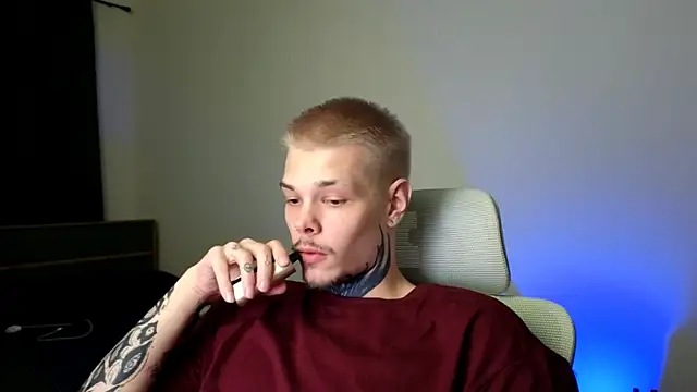 DENIS_HERE webcam
