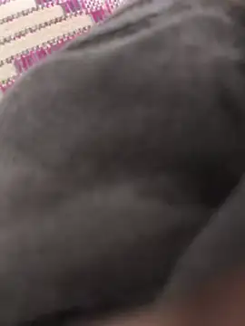 BigBlackCock_5 webcam
