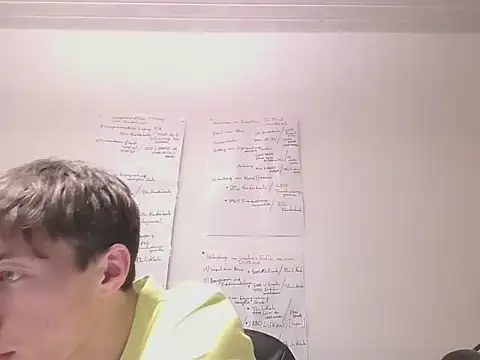 VelvetRagottiOG webcam