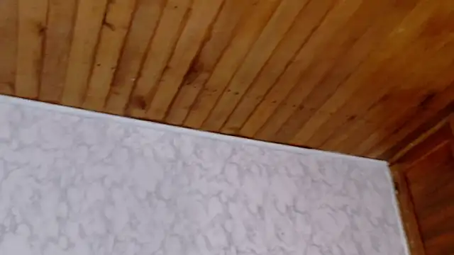 SCARLHETTBROWN