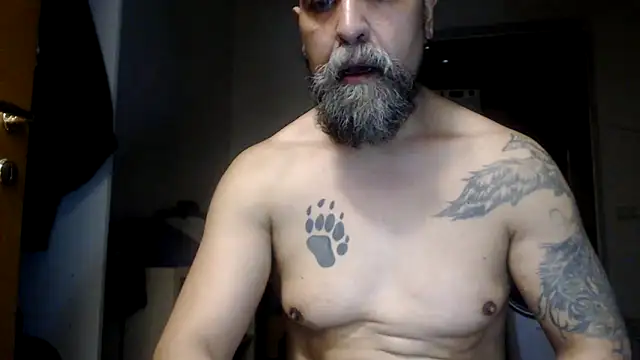 AMIRDIB2025 live cam on StripChat