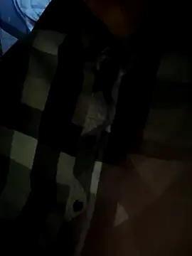 Aashikalaa webcam