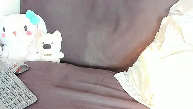 Eirlysx webcam