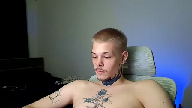 DENIS_HERE webcam