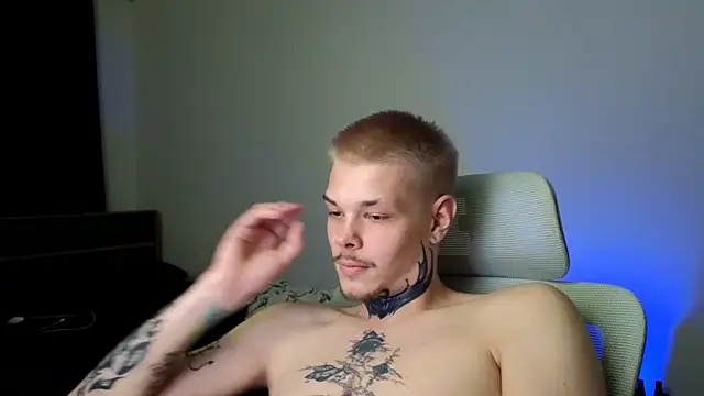 DENIS_HERE webcam