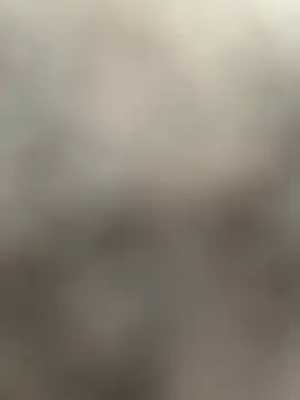 Cat2525 webcam