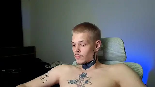 DENIS_HERE webcam