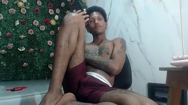 ManSant webcam