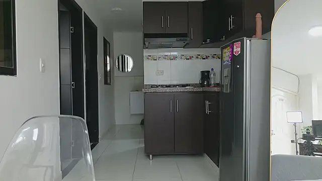 grey___27 webcam
