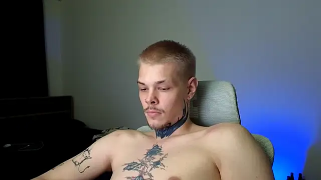DENIS_HERE webcam