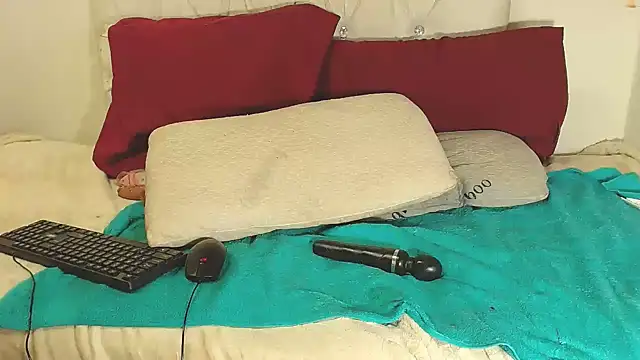BaselBlues webcam