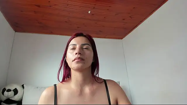 Arenne_rouse webcam