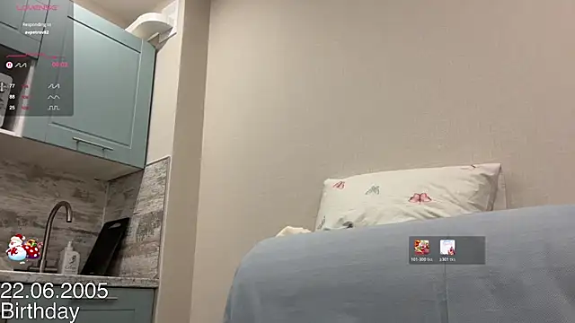 tinykisa webcam