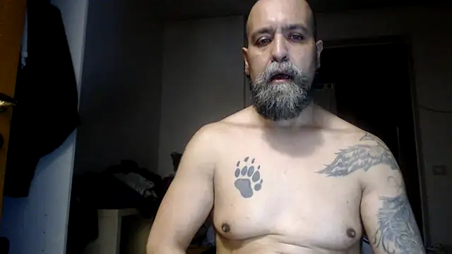 AMIRDIB2025 webcam