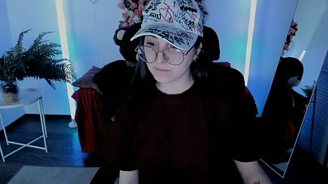 VirtuallVoyant webcam