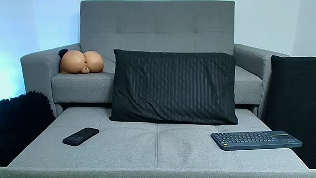 BrayaanFit webcam