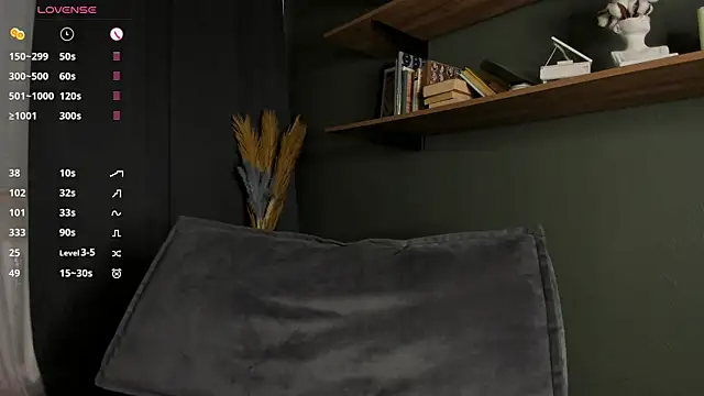 DelorisDetrich webcam