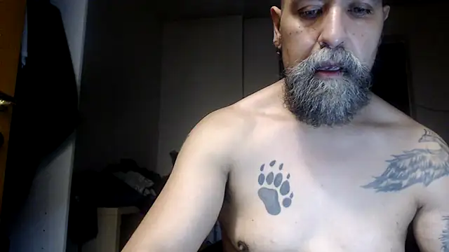 AMIRDIB2025 webcam