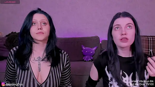 SleepingDuo webcam