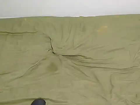 taffi2 webcam