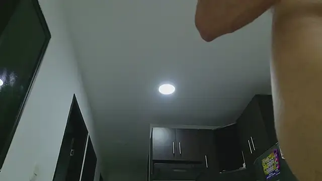 grey___27 webcam