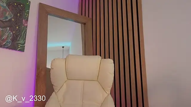 sofiesoft webcam