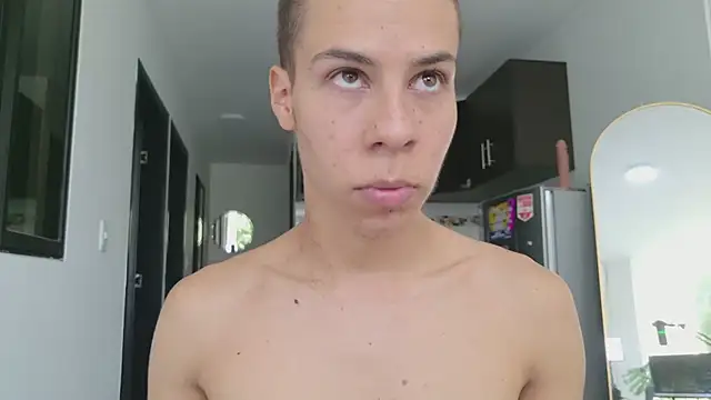 grey___27 webcam
