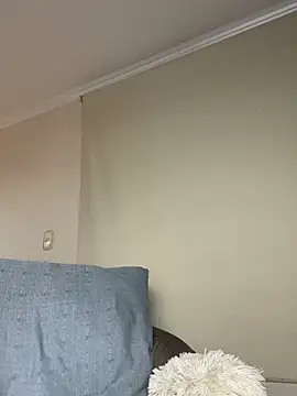 Samispank webcam