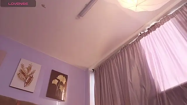 SALOME_F0X_ webcam